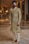 Indischer Sherwani oliv Stickerei Hochzeit